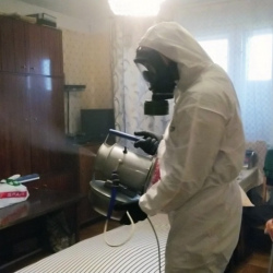 Дезинфекция от клопов в Сурске
