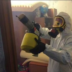Уничтожение клопов в квартире. Сурск